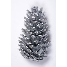 LOBLOLLY PINE CONE 3"-4" SILVER- OUT OF STOCK